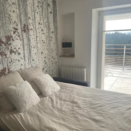 Beau Duplex Vue Sur Le Blanc * Orbey