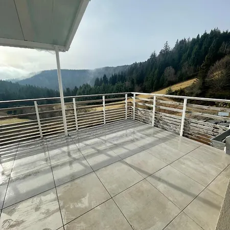 Beau Duplex Vue Sur Le Blanc * Orbey