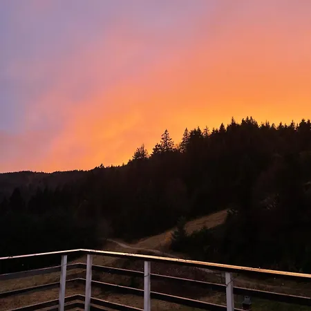 Beau Duplex Vue Sur Le Blanc
