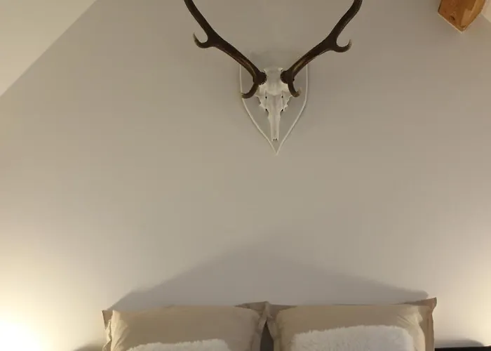 Beau Duplex Vue Sur Le Blanc Apartment *