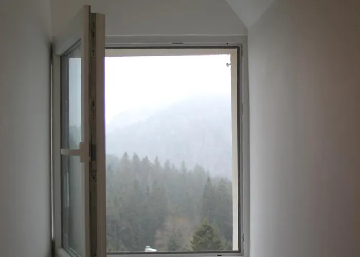 Beau Duplex Vue Sur Le Blanc * Orbey